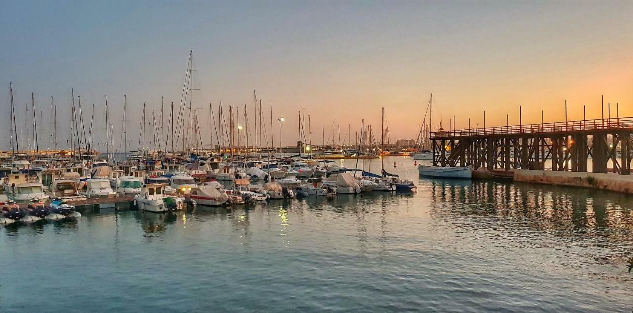 Torrevieja Apartment Eksteriør bilde